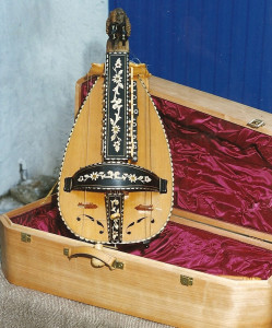 ZANFONA Y ESTUCHE