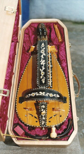 ZANFONA EN SU ESTUCHE