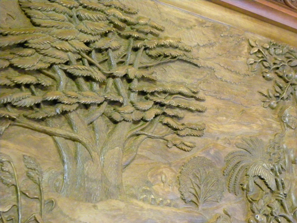 DETALLE ÁRBOL