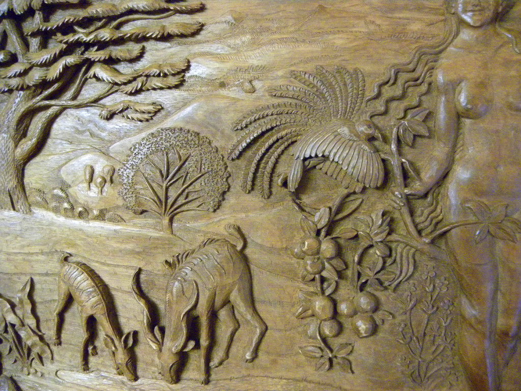 DETALLE ANIMALES Y PLANTAS